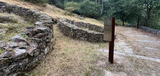 O Concello chega á zona 4 do Plan Anual de Desbroces