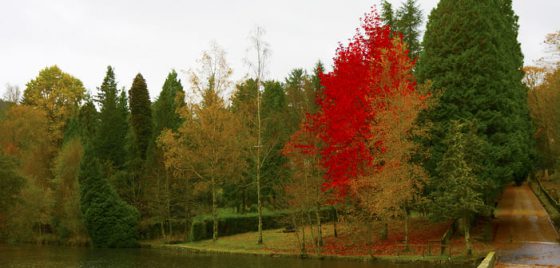 O Concello avanza no desenvolvemento do Plan de Sostibilidade Turística coa adxudicación do proxecto do Lago Castiñeiras e dunha campaña de promoción