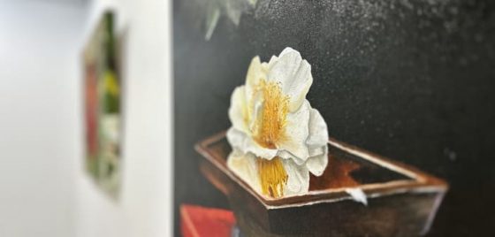 Unha exposición como preámbulo da VIII Mostra Camelias e Mar, que chega ao Museo Torres o 8 e 9 de febreiro